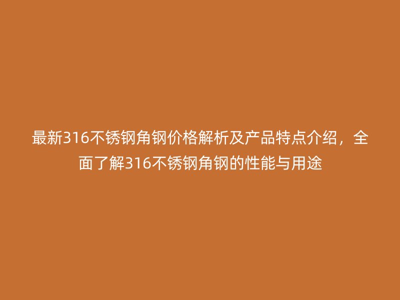 最新316不銹鋼角鋼價格解析及產品特點介紹，全面了解316不銹鋼角鋼的性能與用途